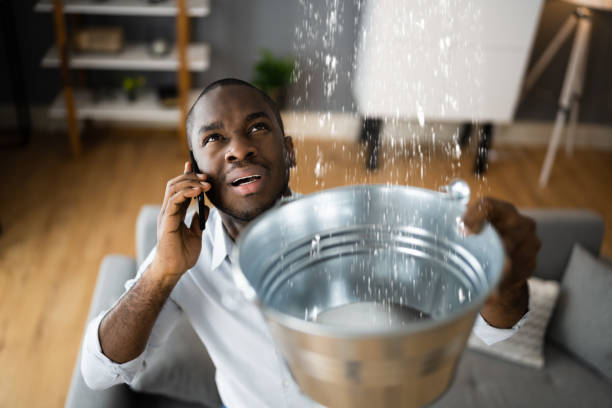 Best Water damage restoration experts  in Port Edwards, WI