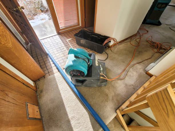 Trusted Port Edwards, WI Water damage restoration Experts