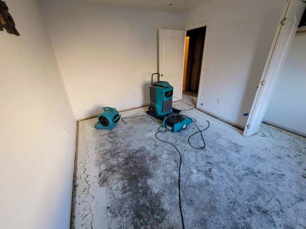 Best Local water damage restoration  in Port Edwards, WI