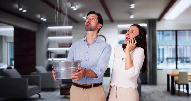 Best Flooded house restoration  in Port Edwards, WI